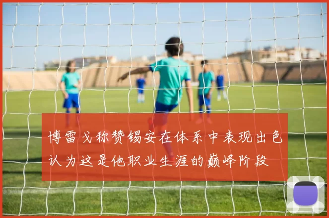 博雷戈称赞锡安在体系中表现出色认为这是他职业生涯的巅峰阶段