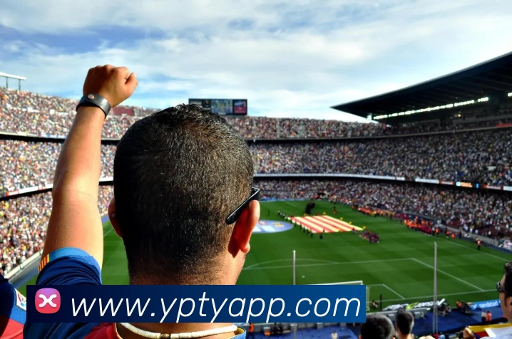 多媒体互动体验