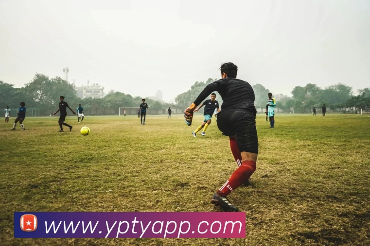 易倍体育APPAPP 高清赛事图